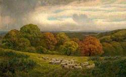 Landscape with Sheep*