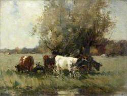 Cattle by a Clump of Willows