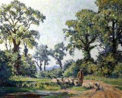 The Lane at Littleham Cross, Exmouth, Devon