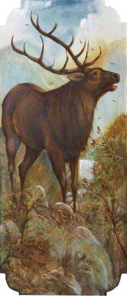 R. Edwards' 'Galloping Horses': Jungle Animals, Red Deer