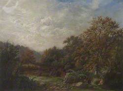 Wooded Vale