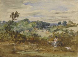Rural Scene