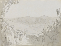 A country lane