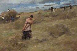 Harvesting (The Haymakers)