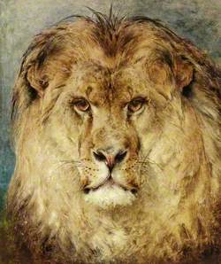 A Lion's Head
