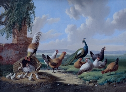 Fowl in a Landscape