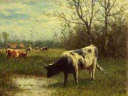 Cattle by the Water's Edge