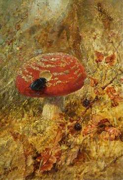 Still Life with a Toadstool and a Beetle