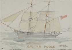 'Superb' Poole