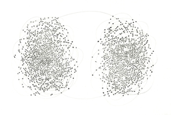 E=C - Everything is Connected