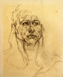 Head Study
