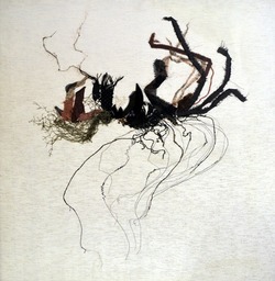 Roots