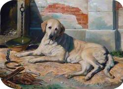 Bernardine (Mrs Bowes's Dog)