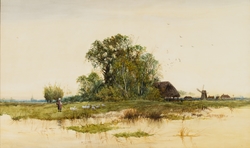 Fen Scene