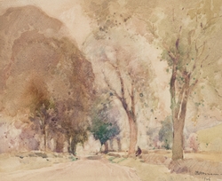 Road with Trees
