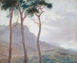 From Swanston Bungalow, 1913