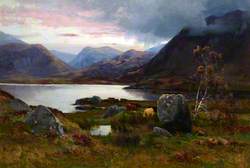 Sunset, Highland Landscape with Cattle