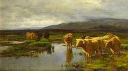 Moorland and Mist