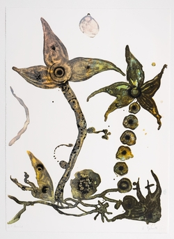 Untitled (small)