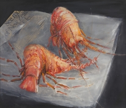 New Zealand Lobsters / Crayfish, Kaikoura