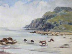 Cattle on the Shore below Caenn a' Mhara