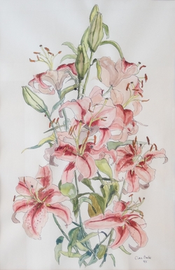 Stargazer Lilies II