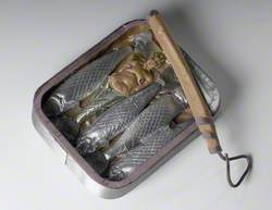 A Fish out of Water
