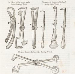Surgical Instruments with Teeth