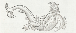 Sea Monster