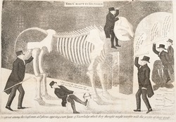 Dr Barclay's Advocation to the Proposed Professorship of Comparative Anatomy Supported and Opposed; Represented by Him Riding the Skeleton of an Elephant Into the University of Edinburgh