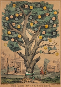 The Tree of Intemperance