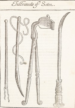 Instruments of Seton