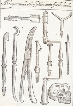 A Trepan with Other Instruments for the Head