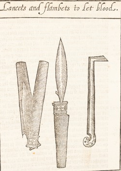 Lancets and Flambets to Let Blood