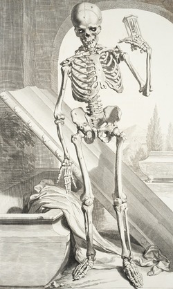 Skeleton with Hourglass