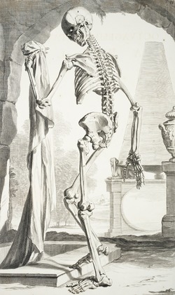 Skeleton with Burial Shroud
