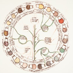 Urine Wheel
