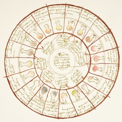 Urine Wheel