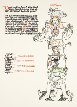 Zodiac Man