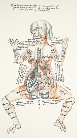 Pregnant Woman