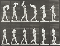 Woman Walking