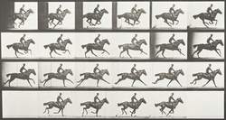 Man Riding Horse