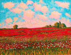 Poppy Fields