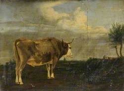 Bull in a Landscape