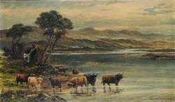 Highland Cows on the Edge of a Loch*