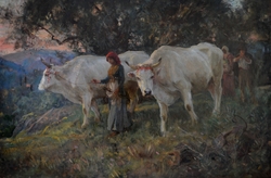 Leading Cattle