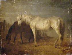 Horses in a Stable