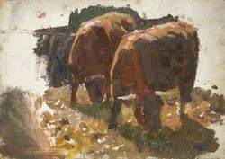 Cows Feeding