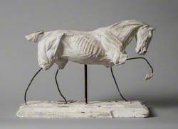 Anatomical Model of a Horse