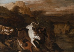 Dogs Attacking a Boar